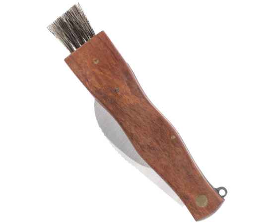 Нож грибника Mushroom Hunter, Размер: в сложении: 14х3, изображение 5