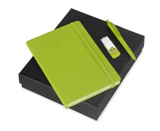 Подарочный набор Vision Pro Plus soft-touch с флешкой, ручкой и блокнотом А5, 8Gb, 700342.03, Цвет: зеленый, Размер: 8Gb