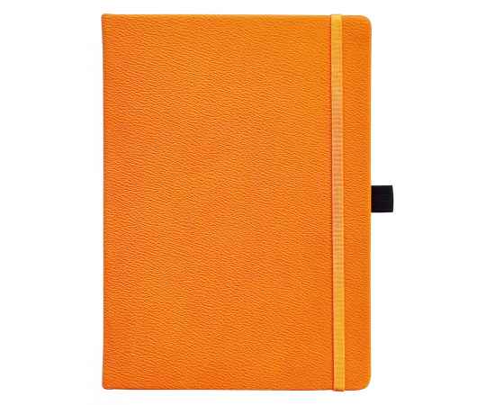 Скетчбук, оранжевый Lifestyle , Цвет: оранжевый