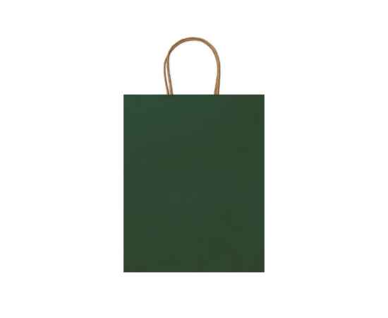 Пакет бумажный ARCE, BO7538S1226, Цвет: зеленый