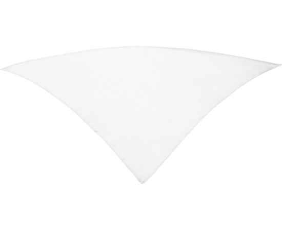 Шейный платок FESTERO треугольной формы, PN900301, Цвет: белый