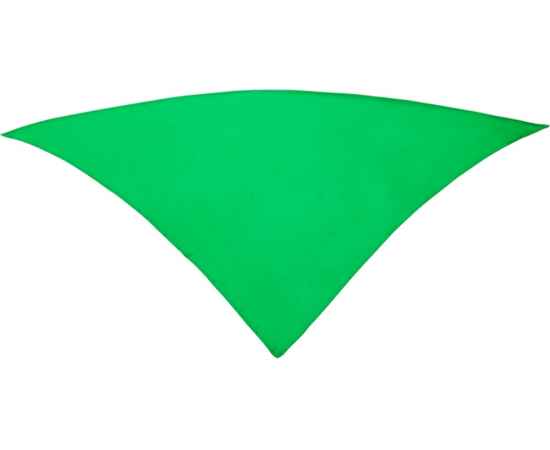 Шейный платок FESTERO треугольной формы, PN900324, Цвет: ярко-зеленый