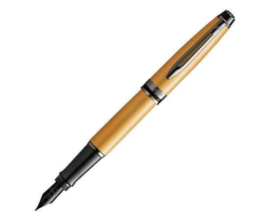 Ручка перьевая Expert Metallic, F, 2119257, Цвет: золотистый