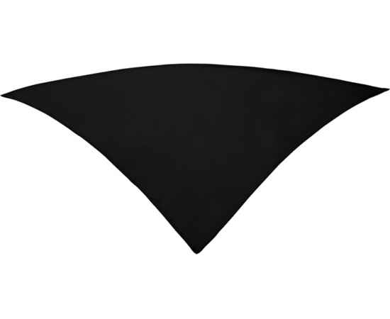 Шейный платок FESTERO треугольной формы, PN900302, Цвет: черный