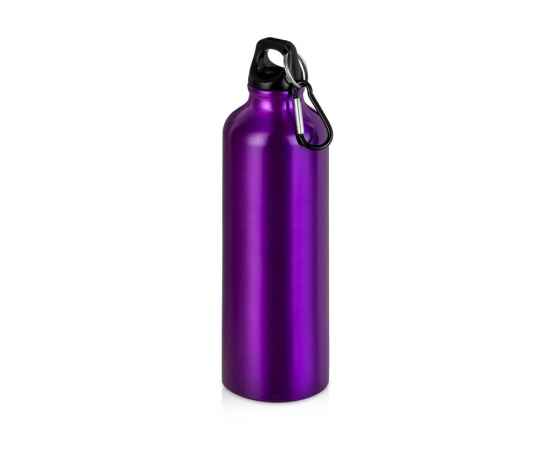 Бутылка Hip M с карабином, 770 мл, 5-10029708p, Цвет: пурпурный, Объем: 770