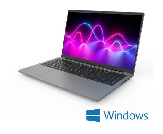 Ноутбук DZEN, Windows 10 Prof, 1920x1080, Intel Core i5 1135G7, 16ГБ, 512ГБ, Intel Iris Xe Graphics, 236832