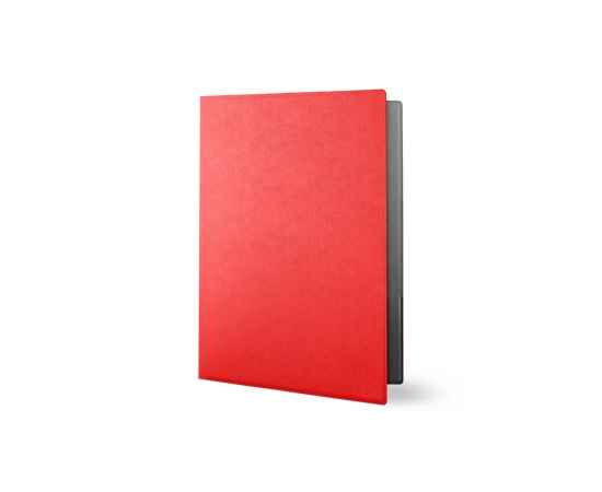 Папка для документов Favor, 115101, Цвет: красный