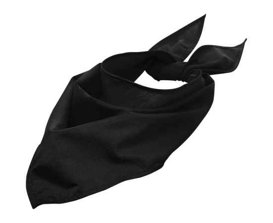 Шейный платок Bandana, черный, Цвет: черный