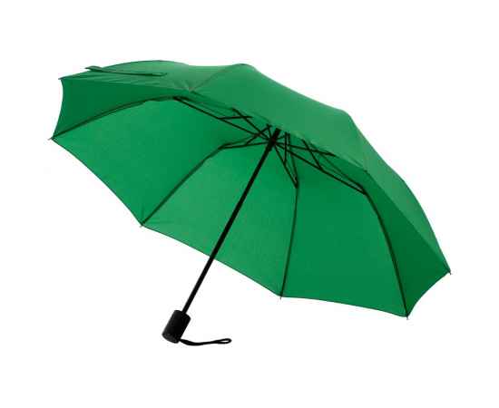 Зонт складной Rain Spell, зеленый, Цвет: зеленый