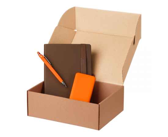 Подарочный набор Alpha, коричневый/оранжевый (ежедневник, ручка, аккумулятор)