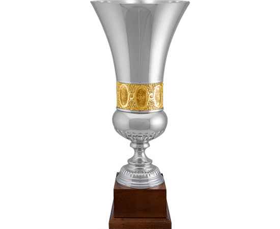Кубок Сантьяго, серебро, изображение 2