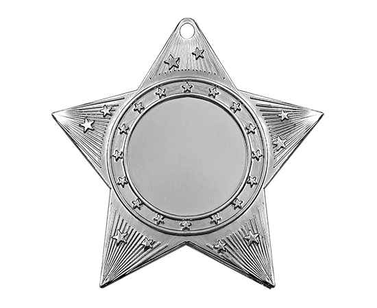 3637-060 Медаль Шамокша, серебро, Цвет: серебро, изображение 2