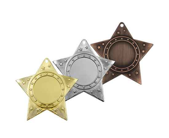 3637-060 Медаль Шамокша, бронза, Цвет: Бронза