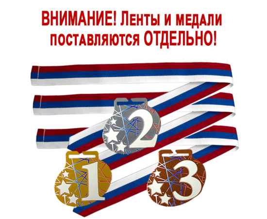 3657-132 Комплект медалей Фонтанка 55мм (3 медали), изображение 3