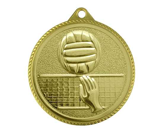 Медаль волейбол, золото