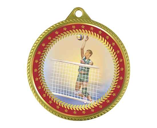 Медаль Волейбол, золото