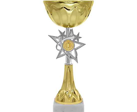 4059-000 Кубок Хангри 1,2,3 место, золото, изображение 2