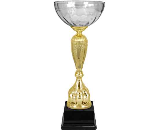 6863-000 Кубок Чинара, золото, изображение 2