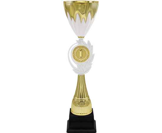 5814-000 Кубок Джамалия 1,2,3 место, золото, Цвет: Золото