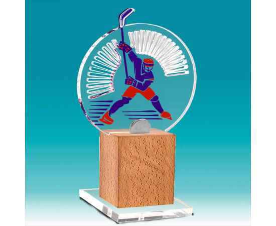 2487-004 Акриловая награда Хоккей, 11х23х11 (прозрачный), Цвет: прозрачный, Размер: 5х17х5