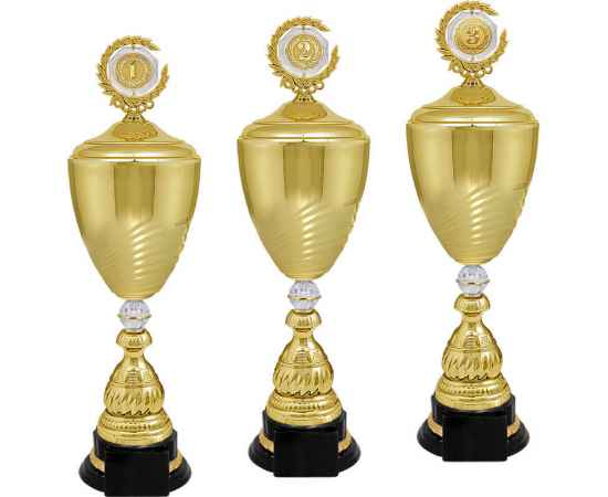 5938-000 Кубок Жардин 1,2,3 место, золото, Цвет: Золото