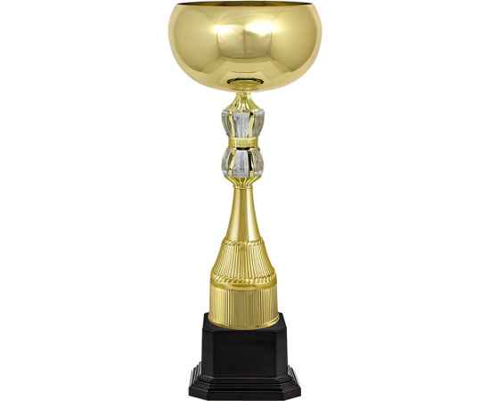 5948-000 Кубок Иствуд, золото, Цвет: Золото
