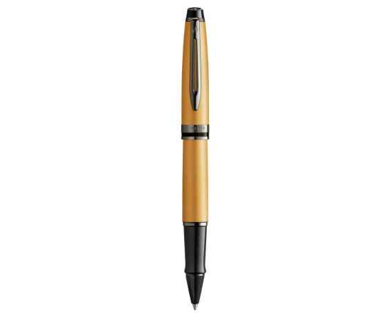 Ручка- роллер WatermanExpert GoldF BLK в подарочной упаковке