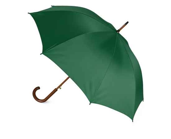 Зонт-трость Радуга, 906103, Цвет: зеленый, изображение 2
