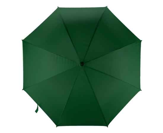 Зонт-трость Радуга, 906103, Цвет: зеленый, изображение 8