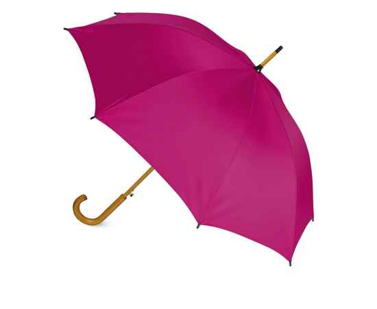 Зонт-трость Радуга, 907098, Цвет: фуксия, изображение 2