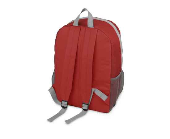 Рюкзак Универсальный, 930141.01, Цвет: серый,красный, изображение 2