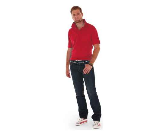 Рубашка поло Boston мужская, XL, 3177F70XL, Цвет: красный, Размер: XL, изображение 2