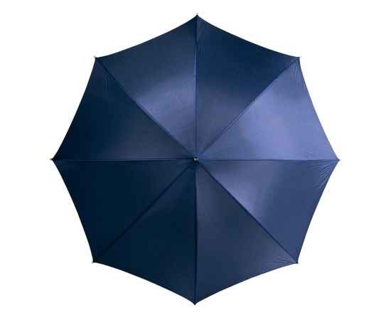 Зонт-трость Karl, 19547878, Цвет: синий, изображение 2