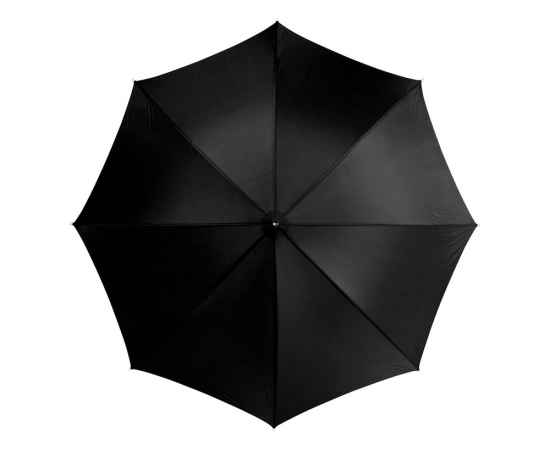 Зонт-трость Karl, 19547884, Цвет: черный, изображение 2