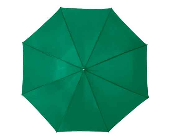 Зонт-трость Karl, 10901806, Цвет: зеленый, изображение 2