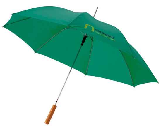 Зонт-трость Lisa, 10901707, Цвет: зеленый, изображение 3