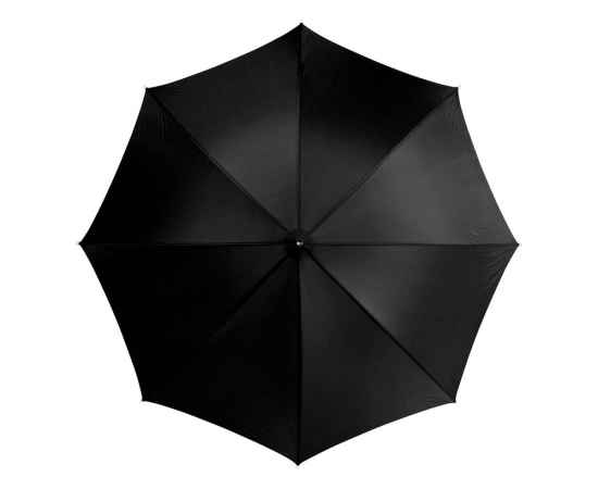 Зонт-трость Lisa, 19547903, Цвет: черный, изображение 2