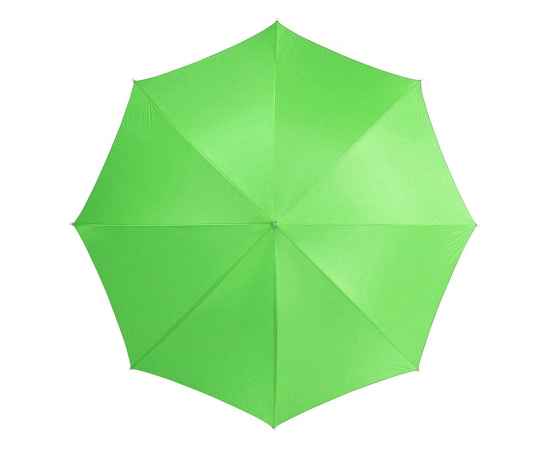 Зонт-трость Lisa, 10901700, Цвет: лайм, изображение 2