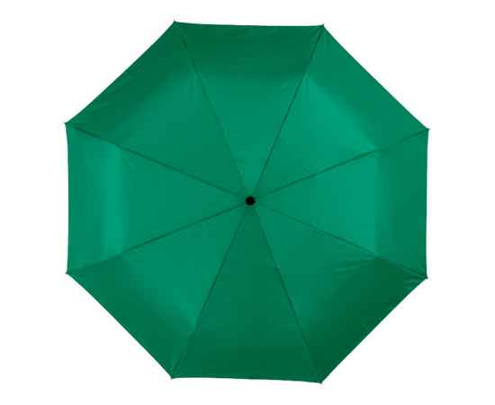 Зонт складной Alex, 10901608, Цвет: зеленый, изображение 2