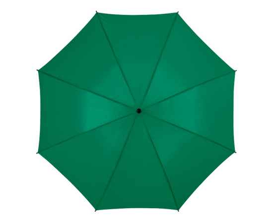 Зонт-трость Barry, 10905307, Цвет: зеленый, изображение 2