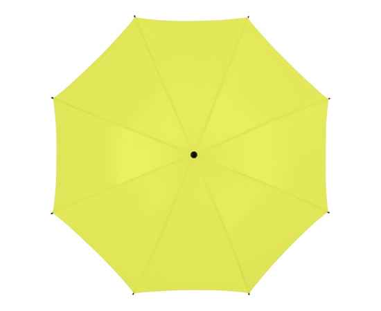 Зонт-трость Barry, 10905313, Цвет: неоновый зеленый, изображение 2
