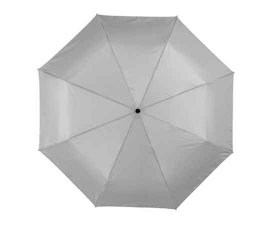 Зонт складной Alex, 10901601, Цвет: черный,серебристый, изображение 2