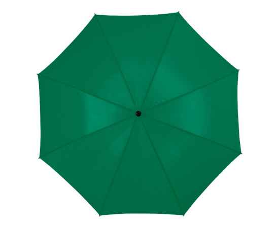 Зонт-трость Zeke, 10905407, Цвет: зеленый, изображение 2