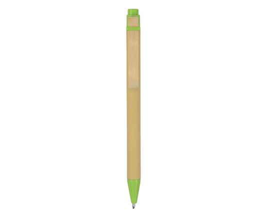 Ручка шариковая Salvador, черные чернила, 10612301, Цвет: зеленый,натуральный, Размер: черные чернила, изображение 2