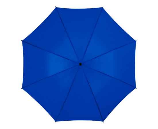 Зонт-трость Barry, 10905308, Цвет: ярко-синий, изображение 2
