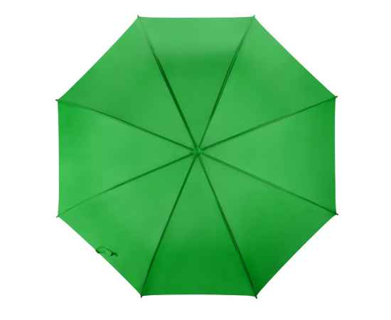 Зонт-трость Яркость, 907013, Цвет: зеленое яблоко, изображение 4
