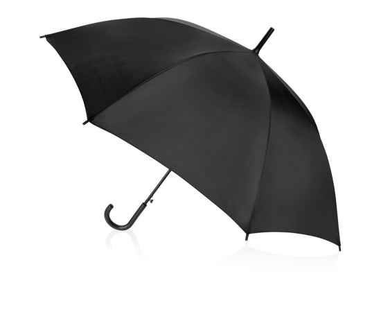 Зонт-трость Яркость, 907007, Цвет: черный, изображение 2