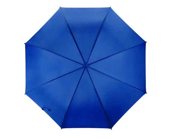 Зонт-трость Яркость, 907002, Цвет: синий, изображение 4