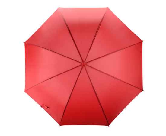 Зонт-трость Яркость, 907021, изображение 4