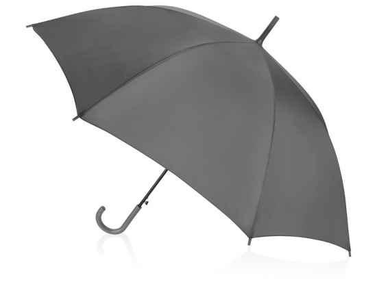 Зонт-трость Яркость, 907088.1, изображение 2